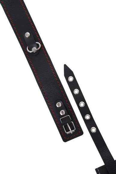 Кожаный двухслойный ошейник с красной строчкой и поводком Кожаный двухслойный ошейник с красной строчкой и поводком