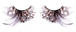 Коричнево-чёрные ресницы-перья Коричнево-чёрные ресницы-перья