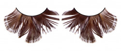 Тёмные коричневые ресницы-перья Тёмные коричневые ресницы-перья