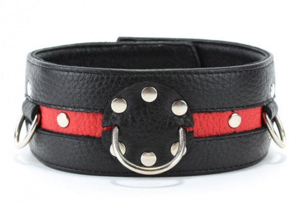 Черно-красный ошейник на пряжке Черно-красный ошейник на пряжке
