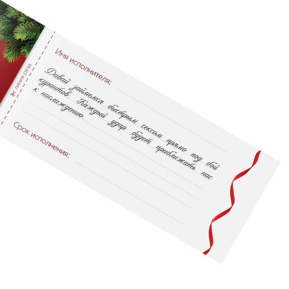 Набор из 5 эротических игр  Новогодние горячие купоны 