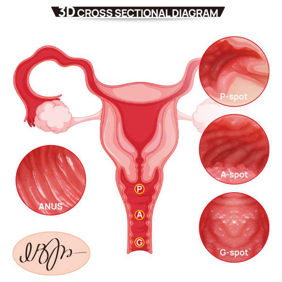 Мастурбатор-полуторс с двойным слоем материала Vanilla Onahole Real Vagina Мастурбатор-полуторс с двойным слоем материала Vanilla Onahole Real Vagina