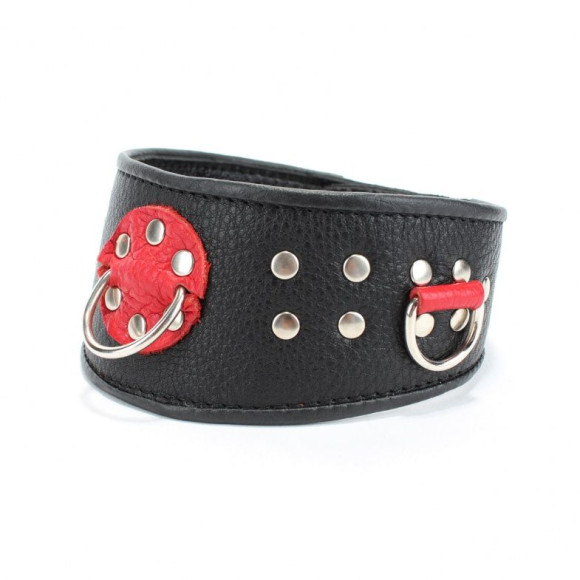 Кожаный ошейник с клепками и кольцами Кожаный ошейник с клепками и кольцами