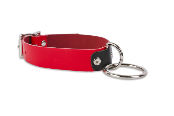 Красный ошейник с колечком Красный ошейник с колечком
