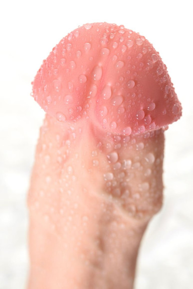 Телесный вибратор-реалистик Harvey - 20 см. Телесный вибратор-реалистик Harvey - 20 см.