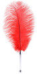 Красное страусиное пёрышко - 40 см.