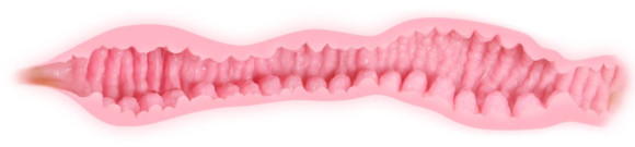 Телесный мастурбатор Veronia с двойным слоем материала Телесный мастурбатор Veronia с двойным слоем материала