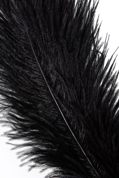 Золотисто-черный флоггер-щекоталка со сменными наконечниками Золотисто-черный флоггер-щекоталка со сменными наконечниками