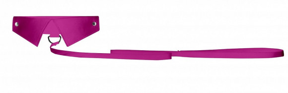 Розовый кожаный воротник с поводком Pink OUCH! Розовый кожаный воротник с поводком Pink OUCH!