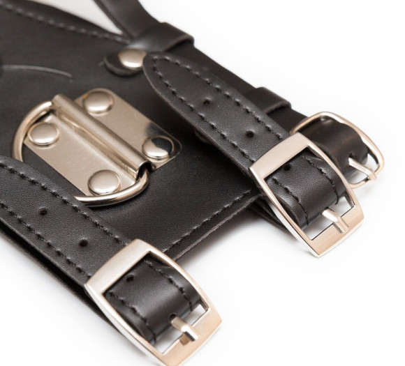 Кляп-шарик с поводком Кляп-шарик с поводком